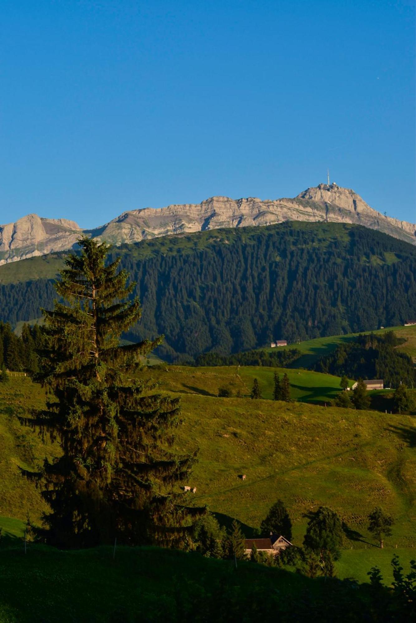Ferienwohnung In Buehler Naehe Appenzell Buhler Exteriör bild